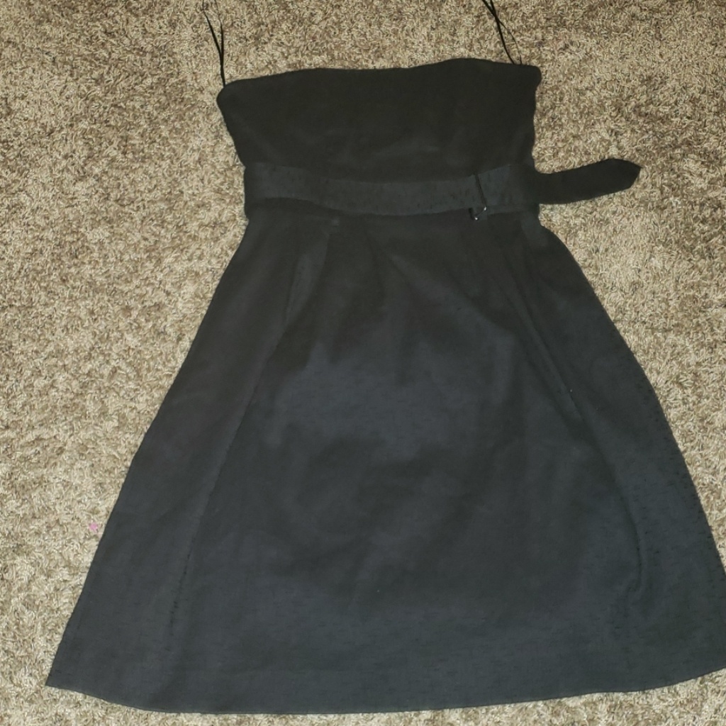 Theory Belted Aline Flare Bustier Dress